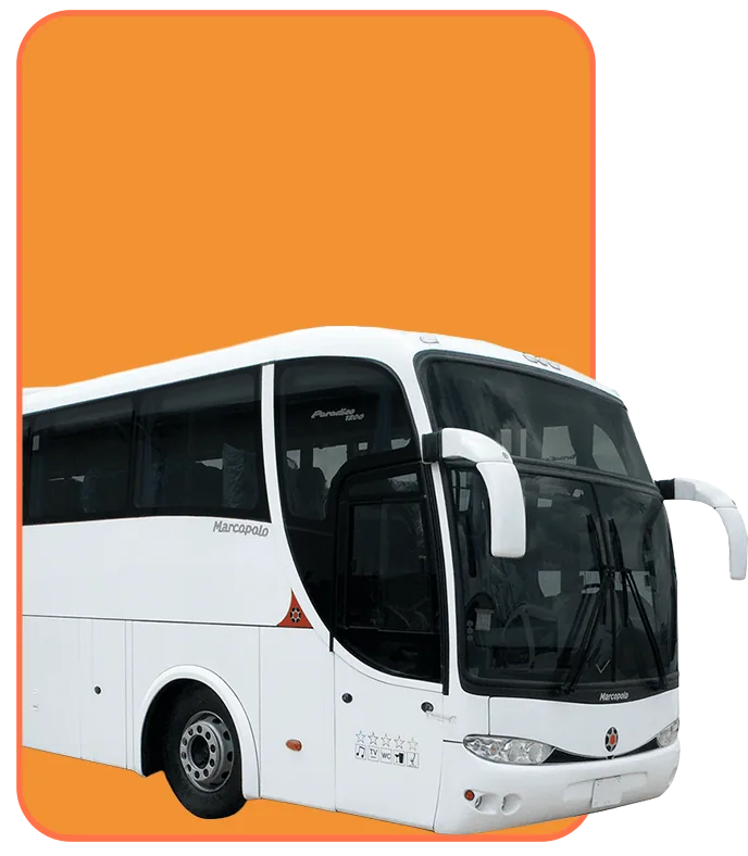 Ônibus